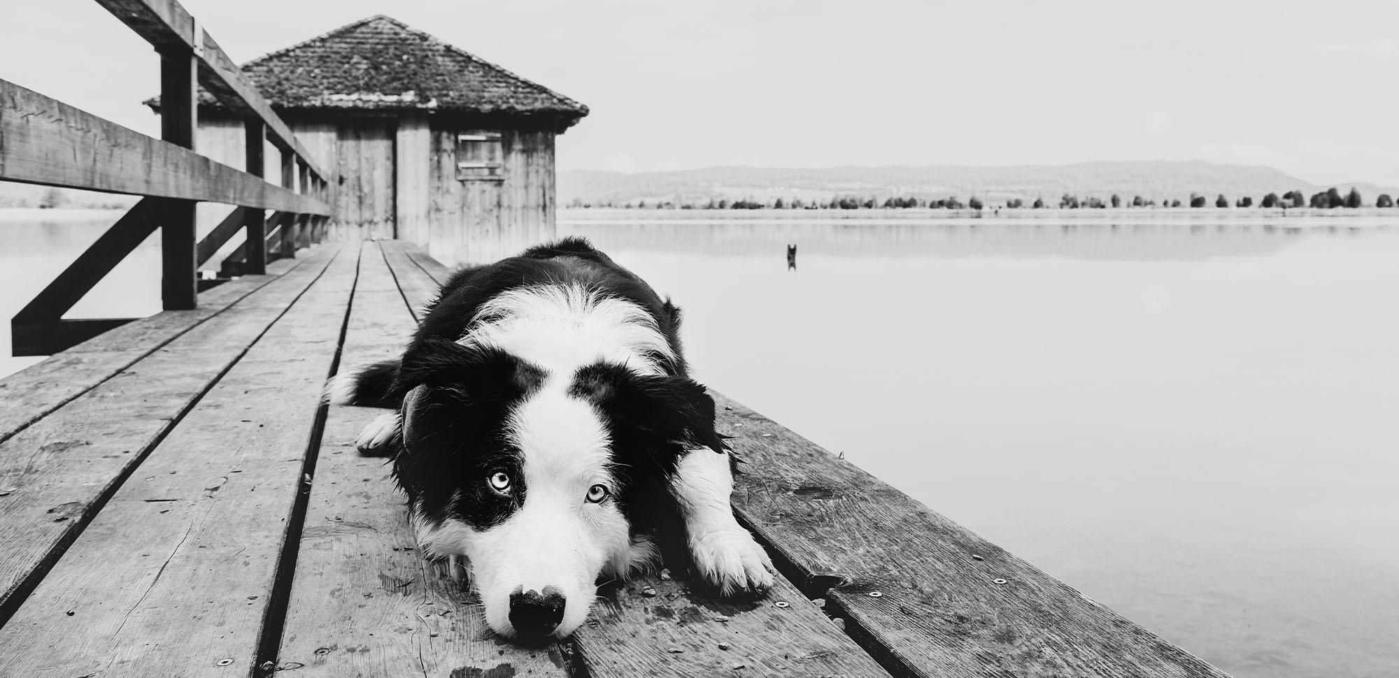 Uschi Pfeiffer Fotografie